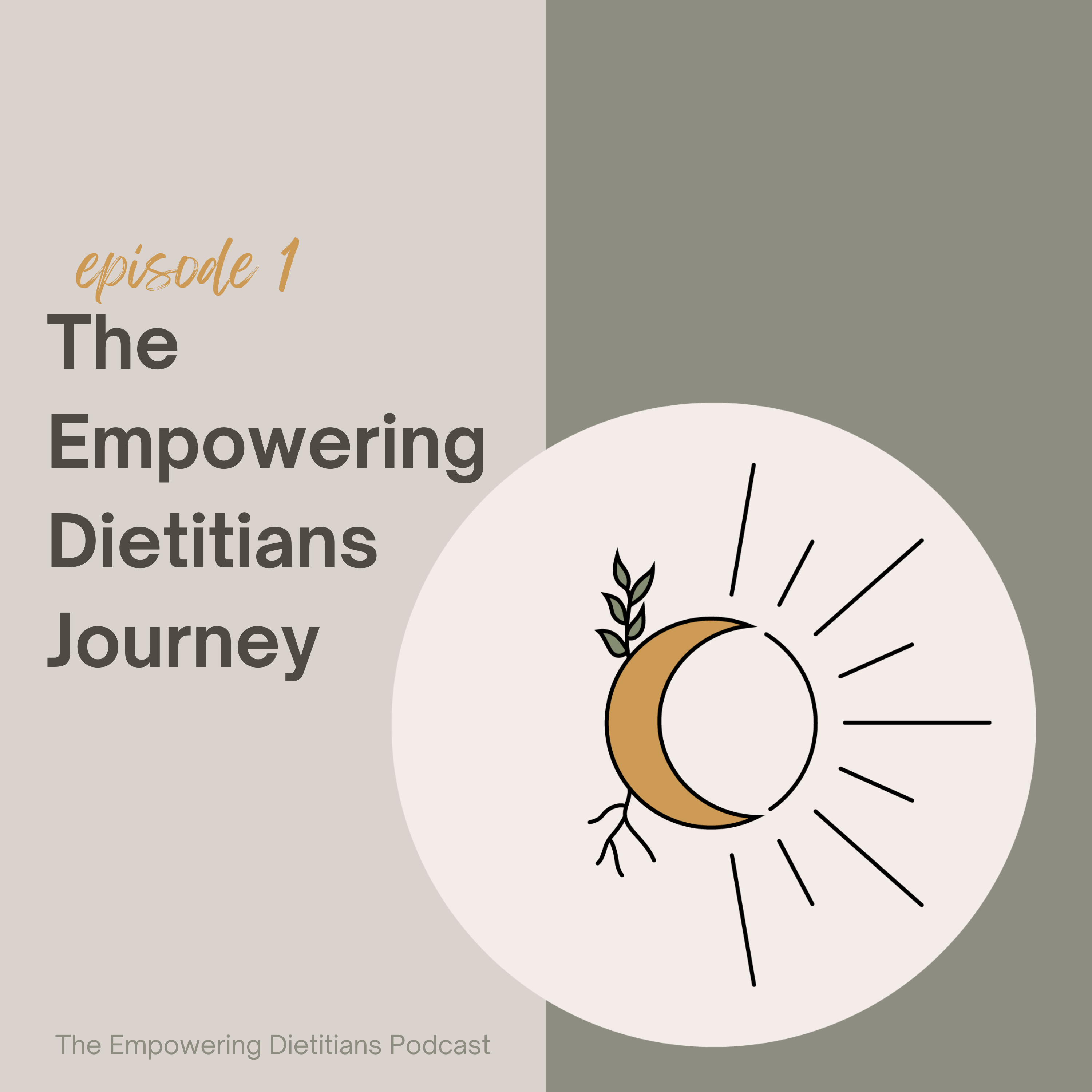the empowering dietitians journey