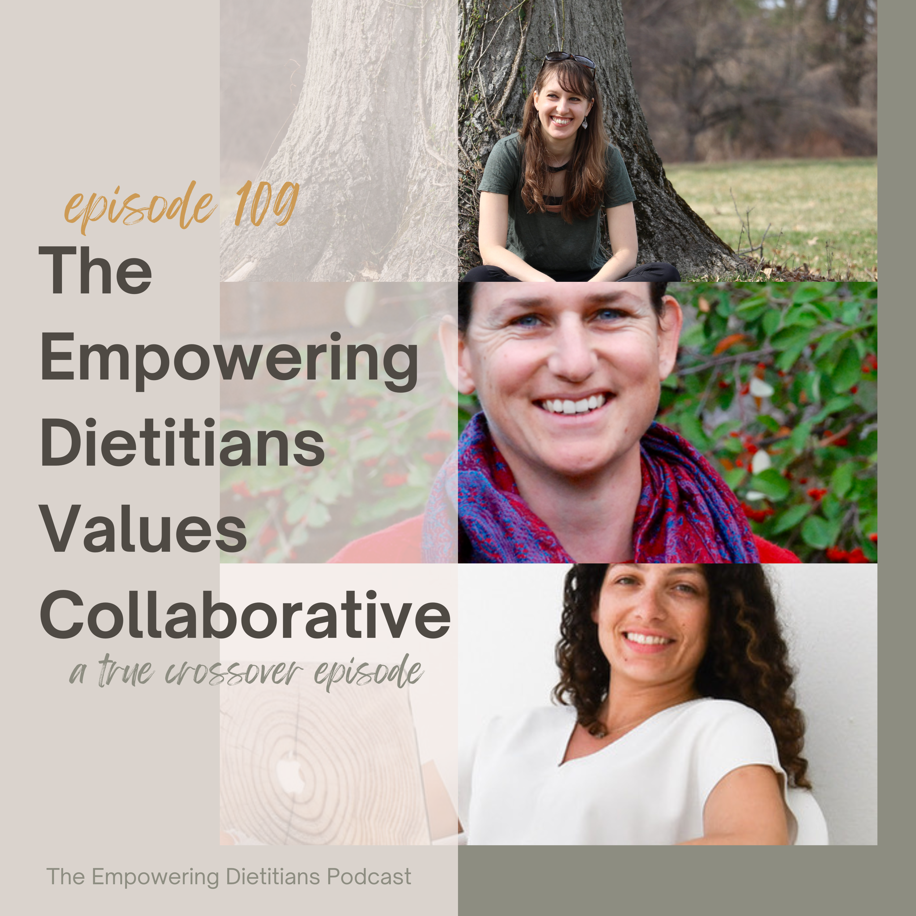 the empowering dietitians values collaborative a true crossover episode