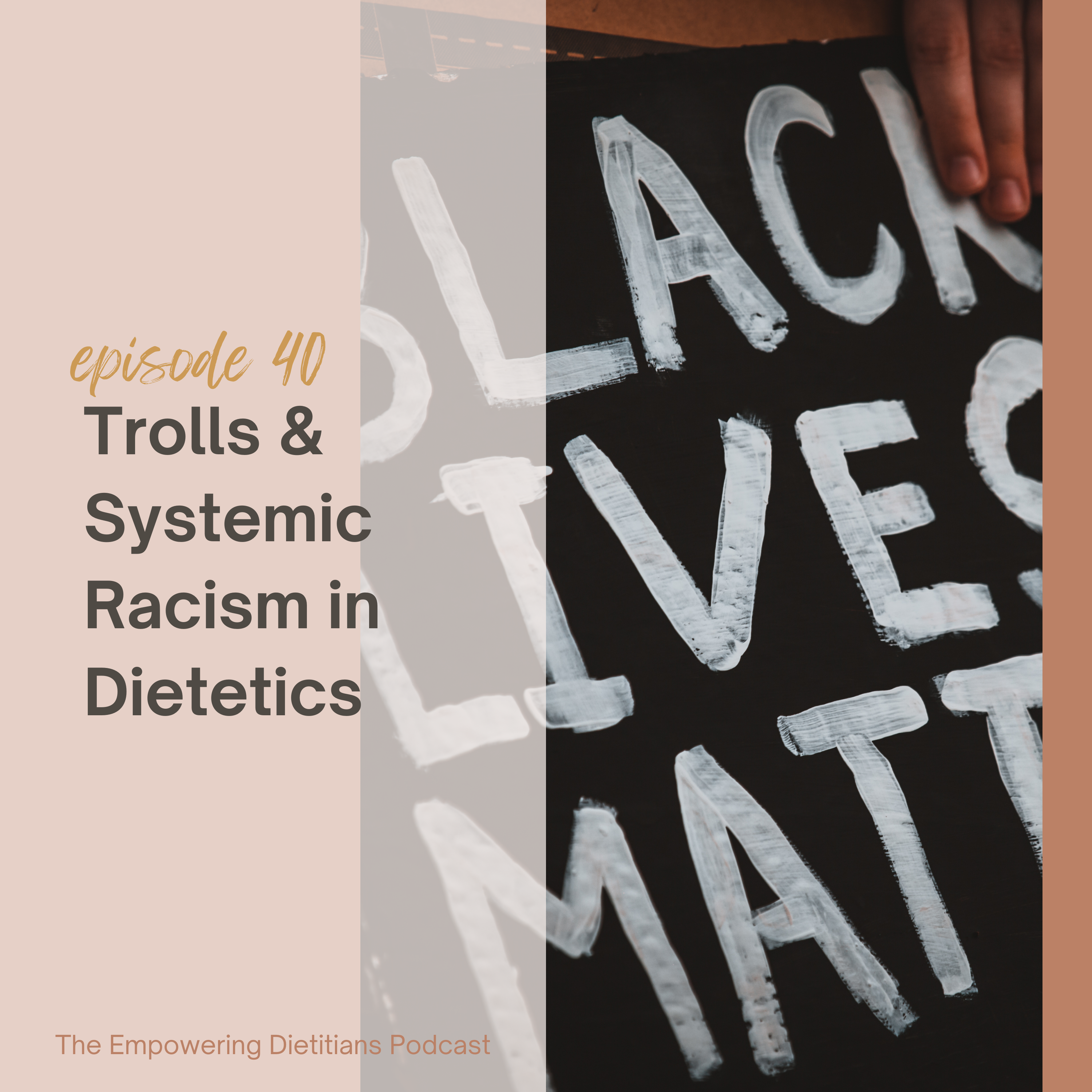 trolls and systemic racism in dietetics